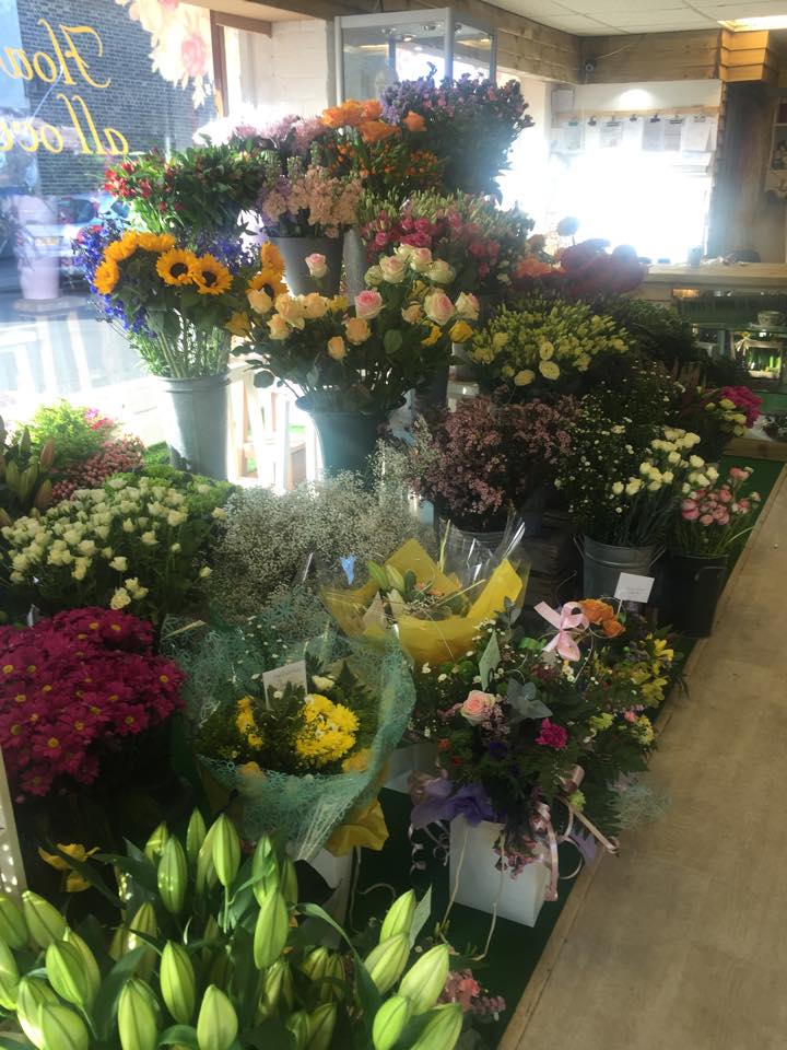 Beautiful Flowers 3