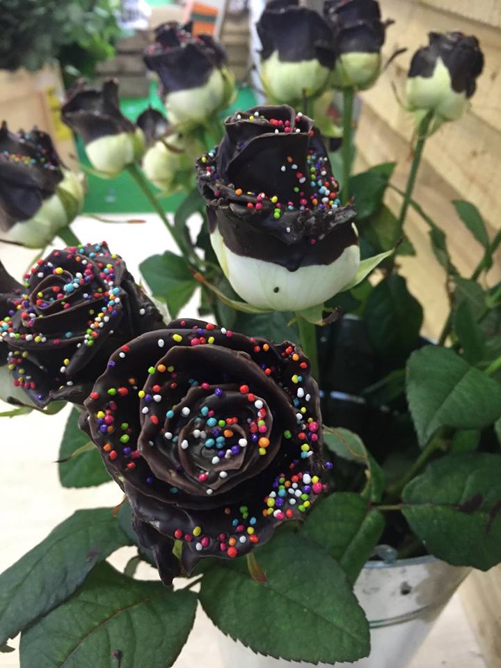 Beautiful Flowers 5