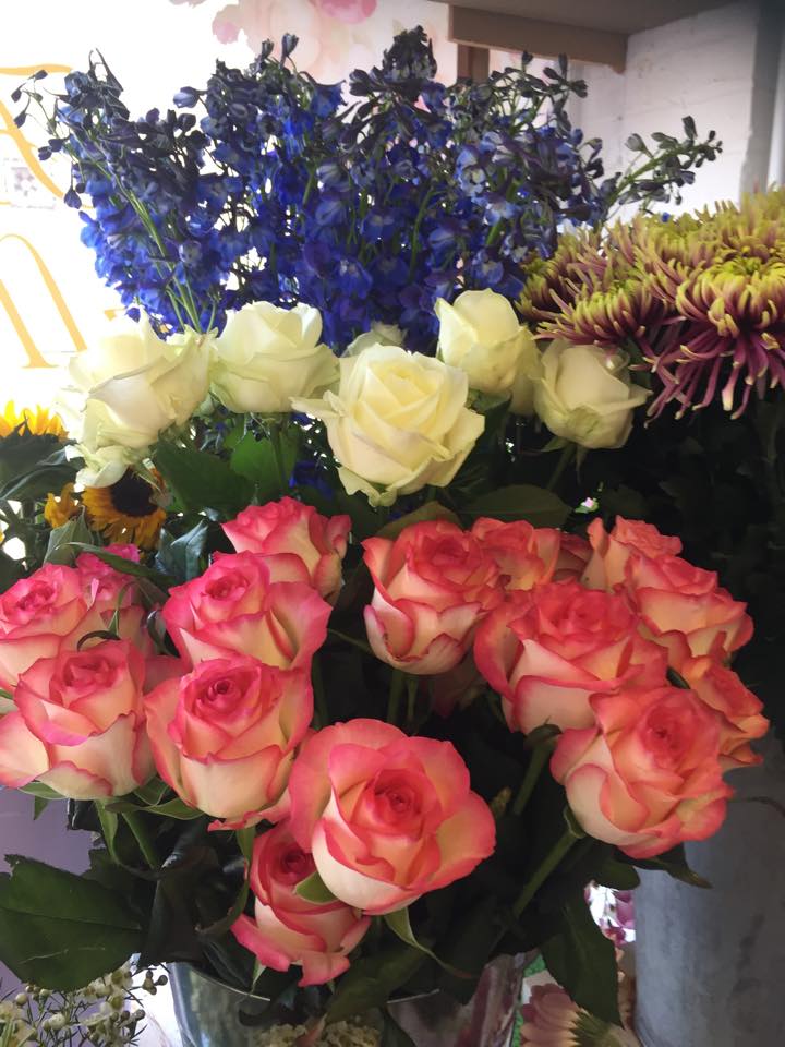 Beautiful Flowers