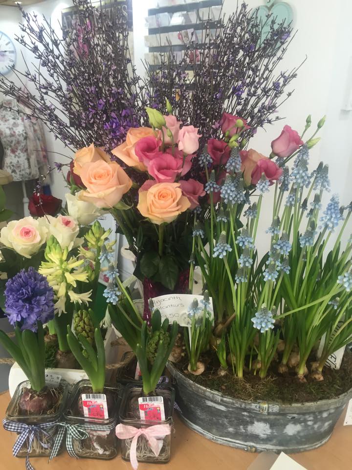 Beautiful Flowers2