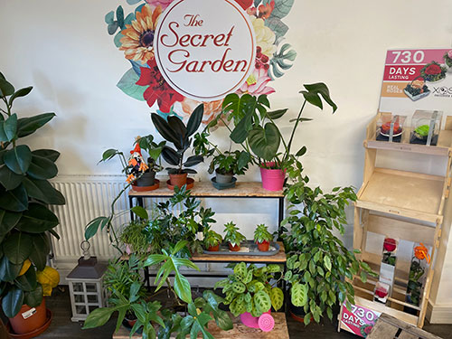 The Secret Garden Florest Folkestone Houseplants